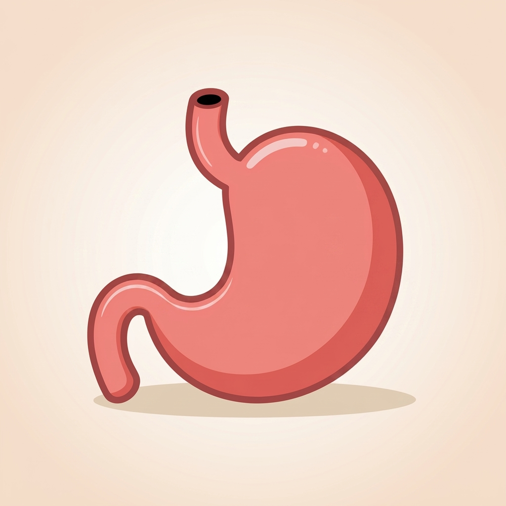 Gastrointestinal & Digestive Health icon